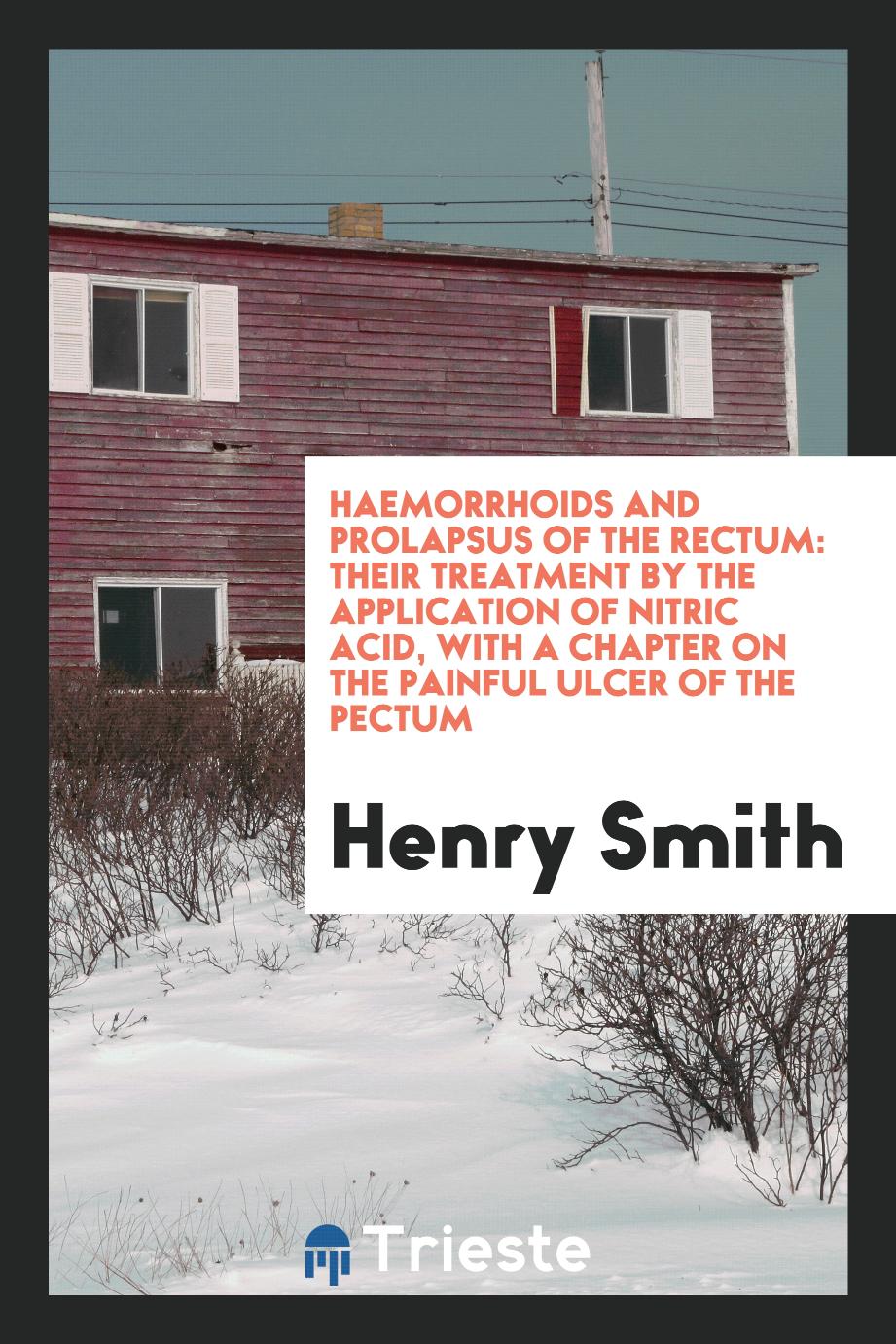 Haemorrhoids and Prolapsus of the Rectum: Their Treatment by the Application of Nitric Acid, with a Chapter on the Painful Ulcer of the Pectum