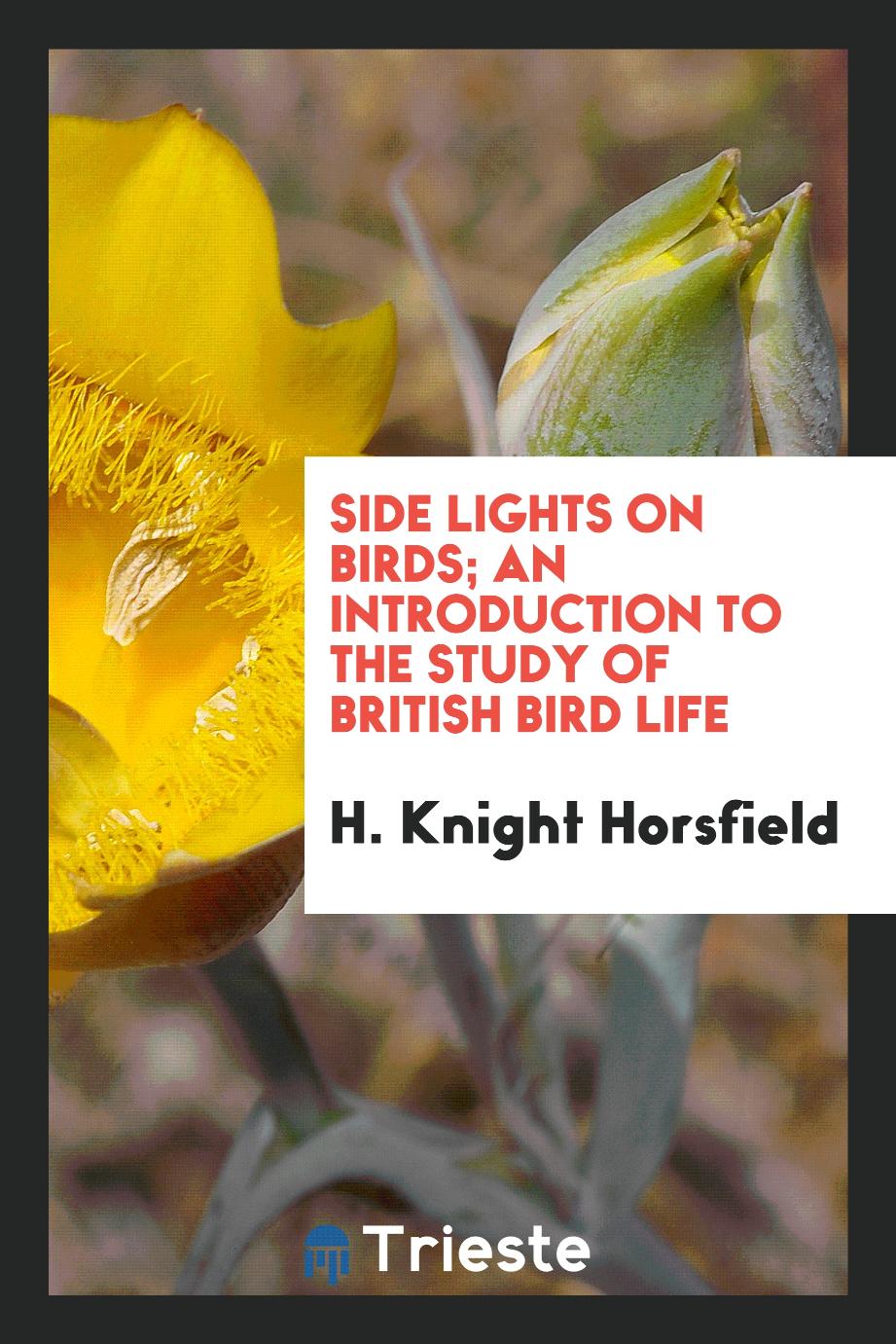 Side lights on birds; an introduction to the study of British bird life