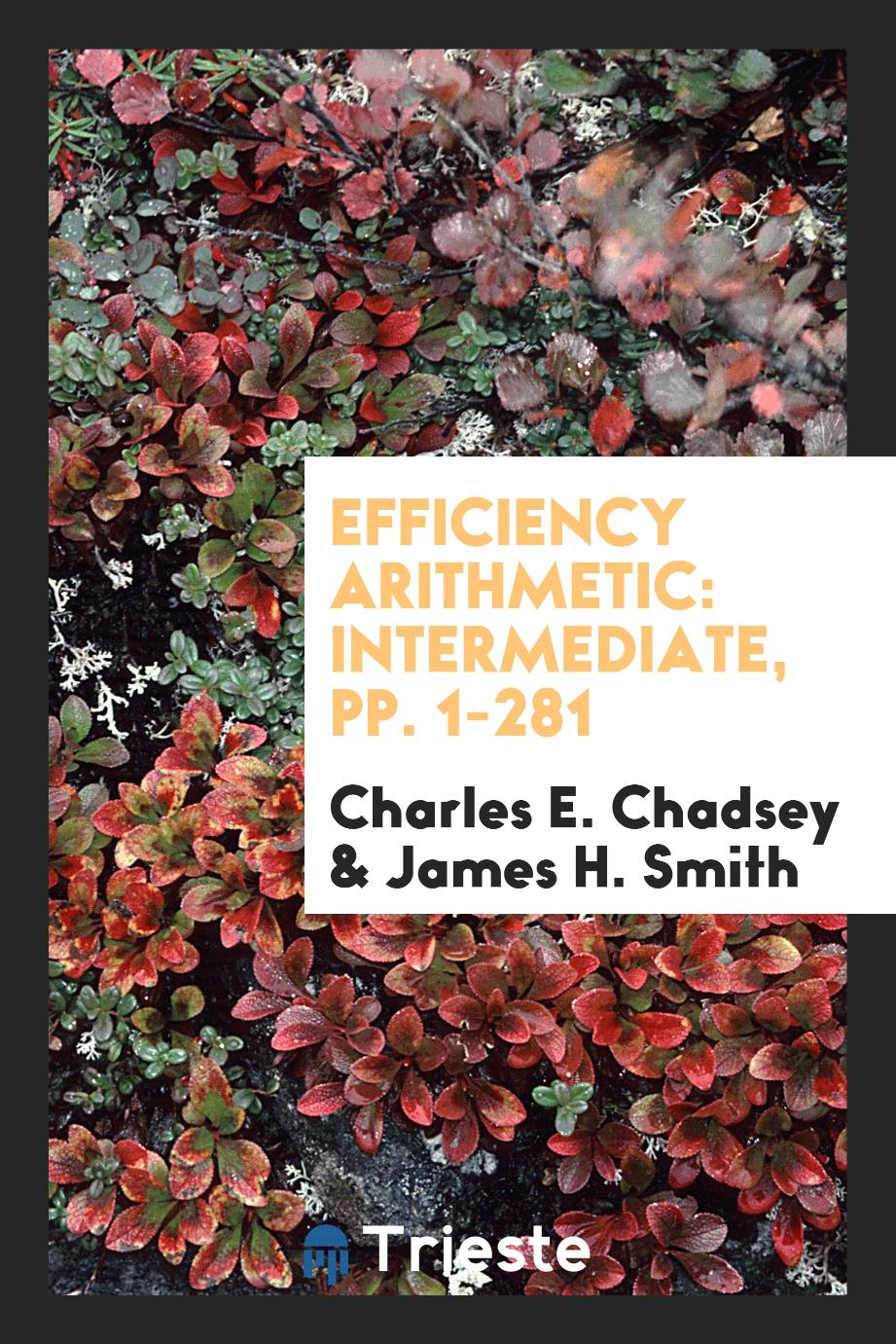 Efficiency Arithmetic: Intermediate, pp. 1-281