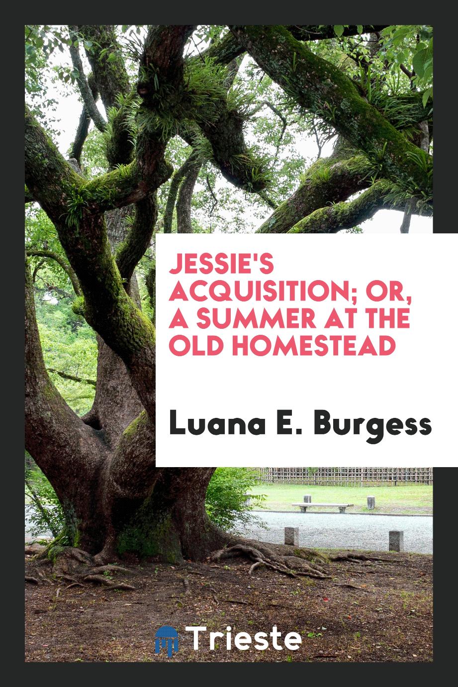 Jessie's Acquisition; Or, A Summer at the Old Homestead