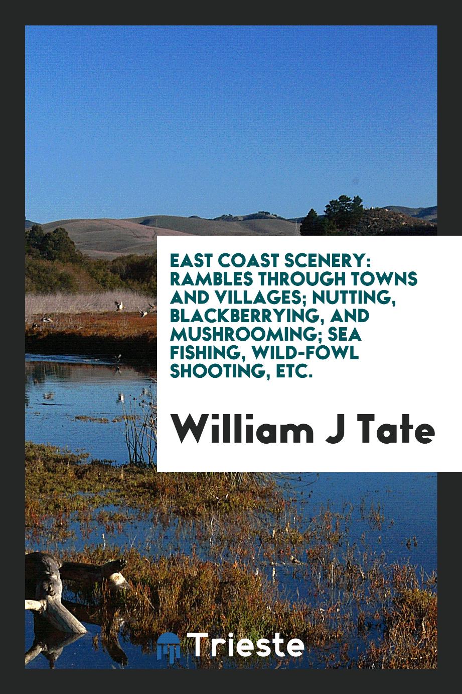 East Coast Scenery: Rambles through Towns and Villages; Nutting, Blackberrying, and Mushrooming; Sea Fishing, Wild-Fowl Shooting, Etc.