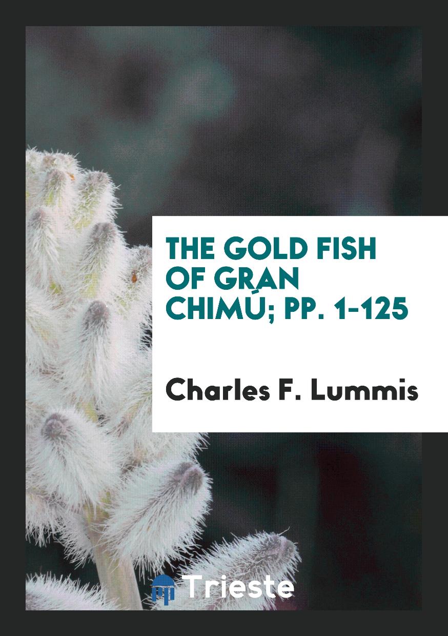 The Gold Fish of Gran Chimú; pp. 1-125