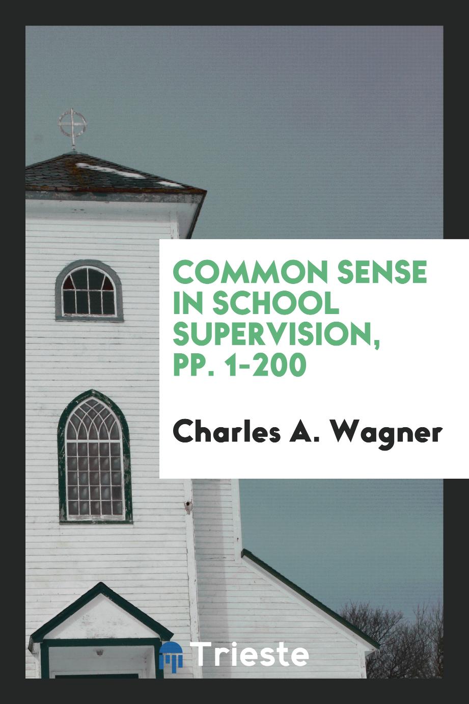 Common Sense in School Supervision, pp. 1-200