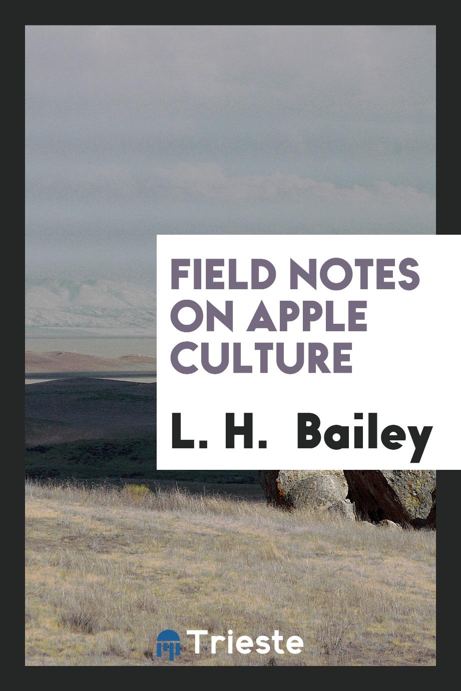 Field Notes on Apple Culture