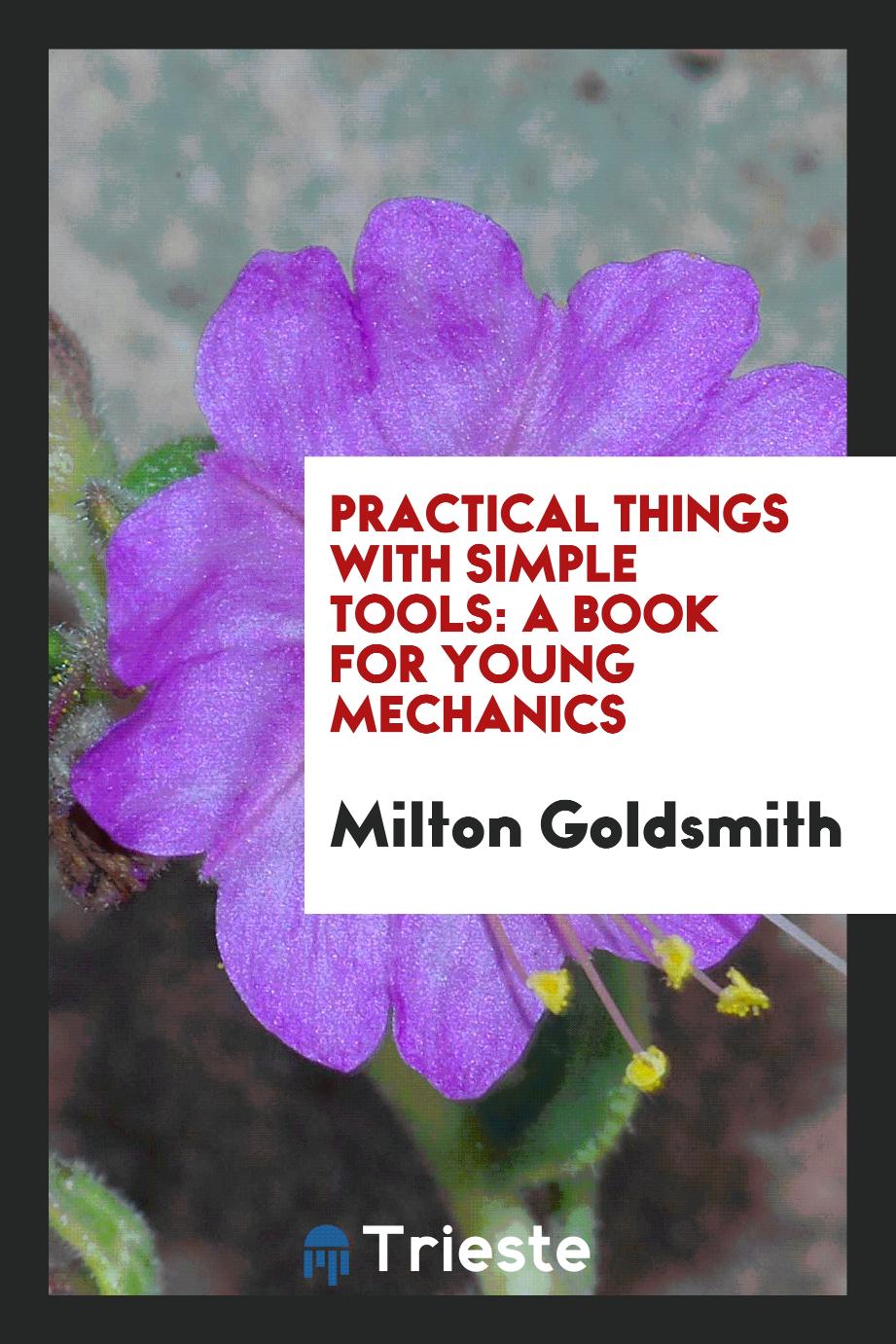 Practical Things with Simple Tools: A Book for Young Mechanics