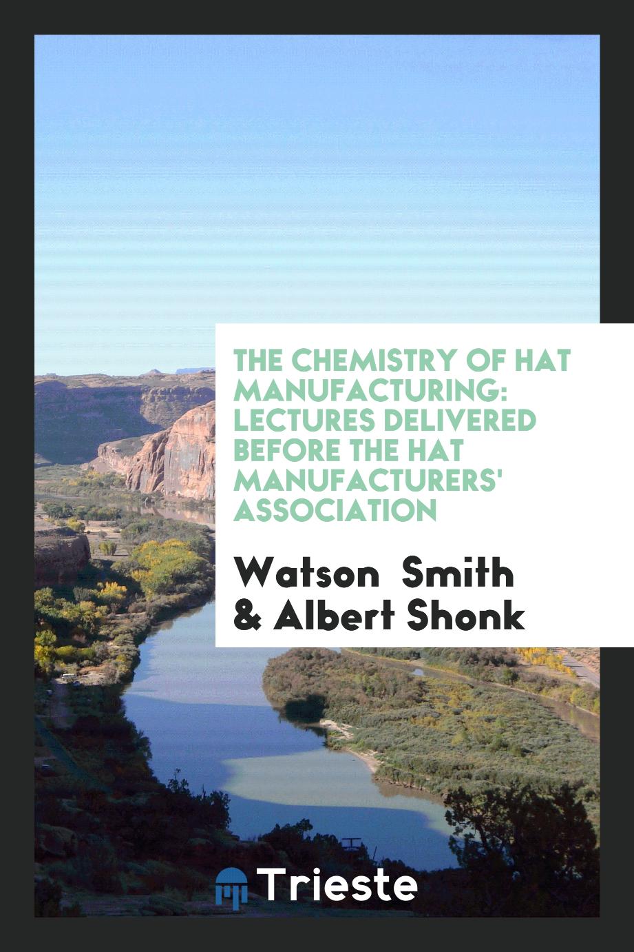 The Chemistry of Hat Manufacturing: Lectures Delivered Before the Hat Manufacturers' Association
