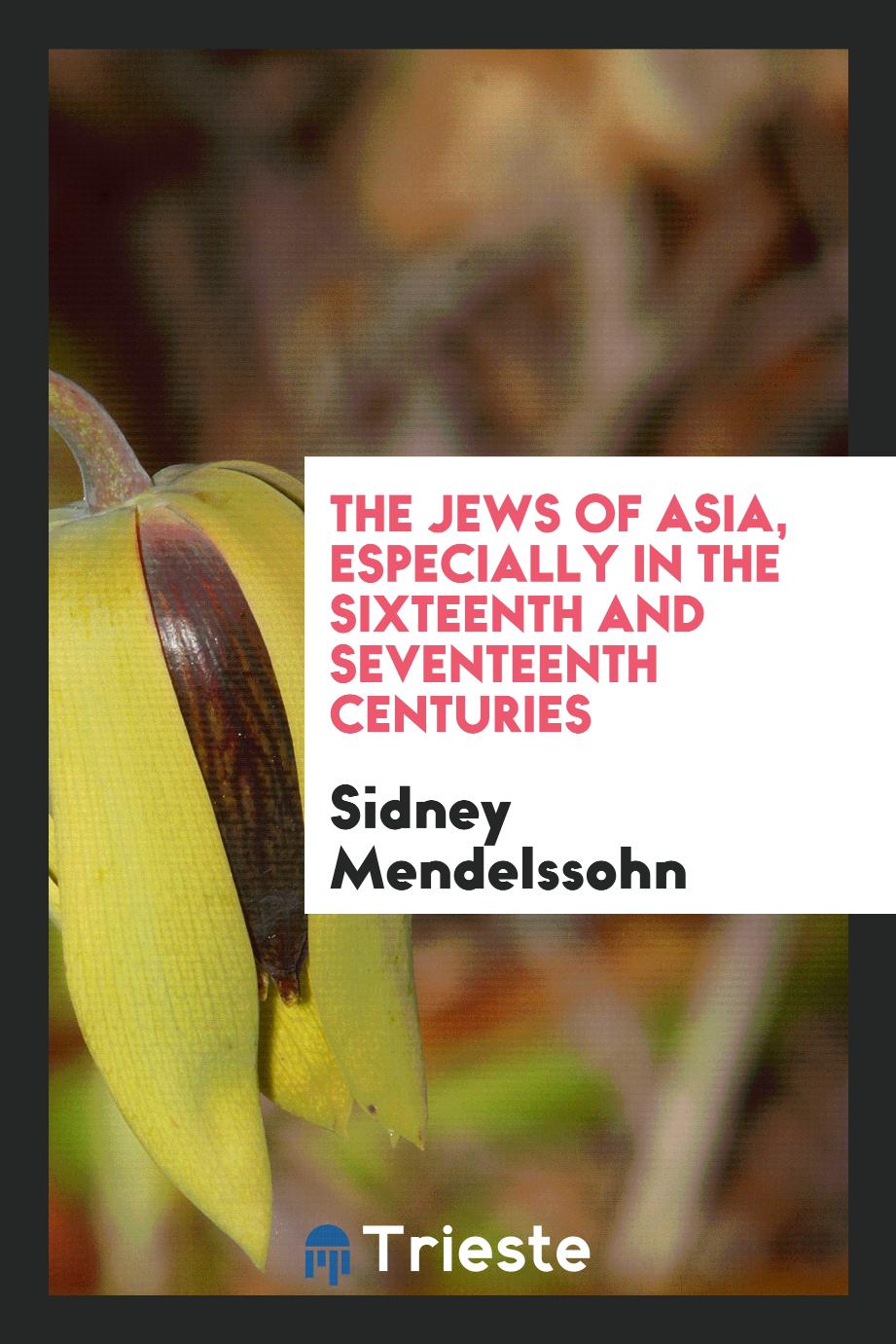 The Jews of Asia, especially in the sixteenth and seventeenth centuries