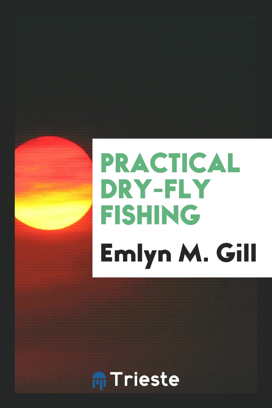 Practical dry-fly fishing