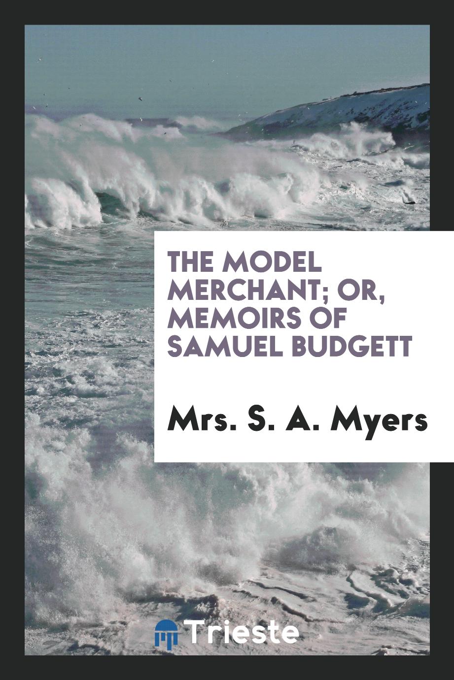 The model merchant; or, Memoirs of Samuel Budgett