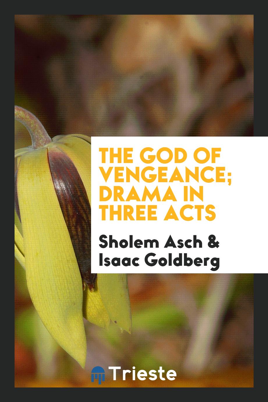 Sholem Asch, Isaac Goldberg - The God of vengeance; drama in three acts
