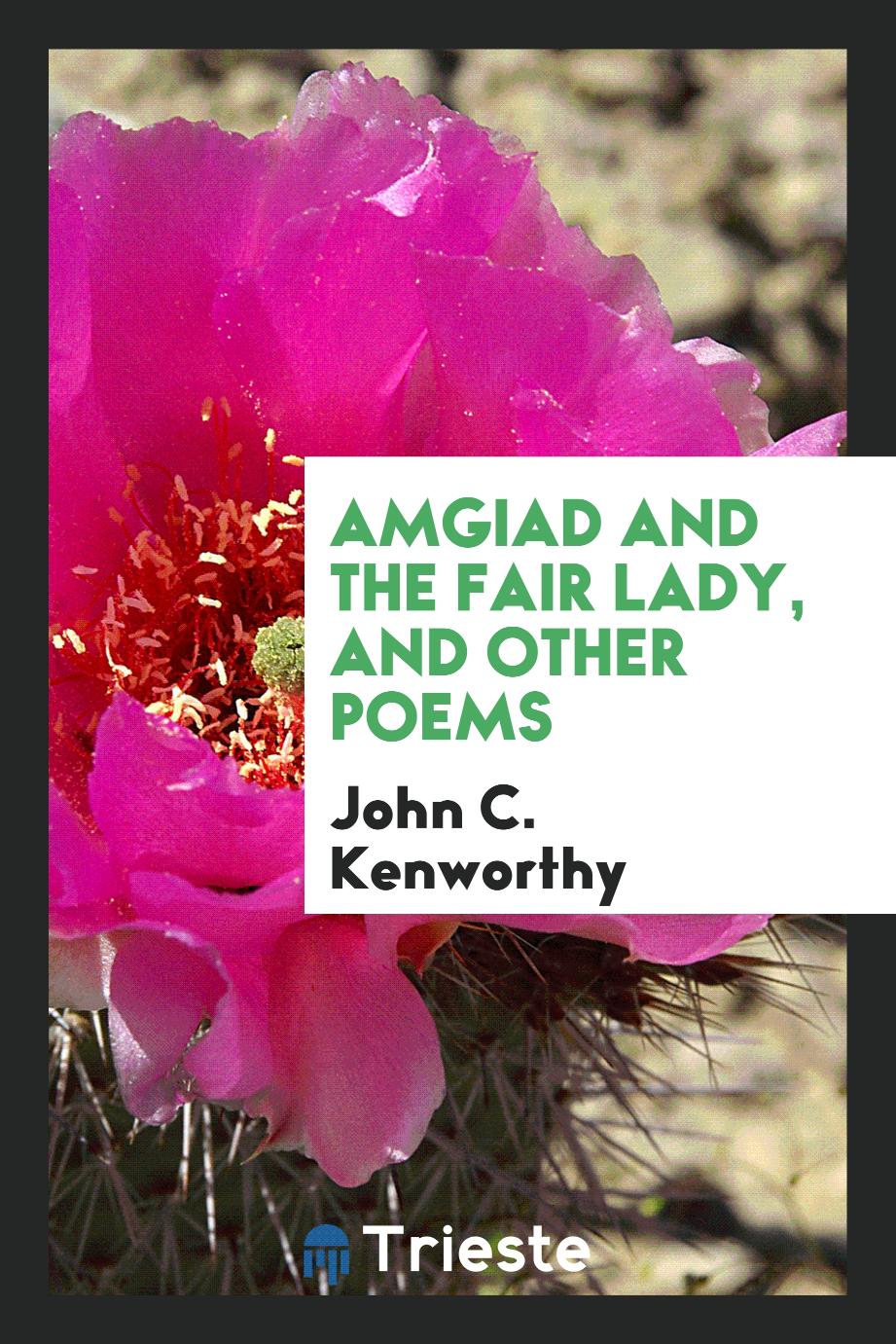 Amgiad and the Fair Lady, and Other Poems