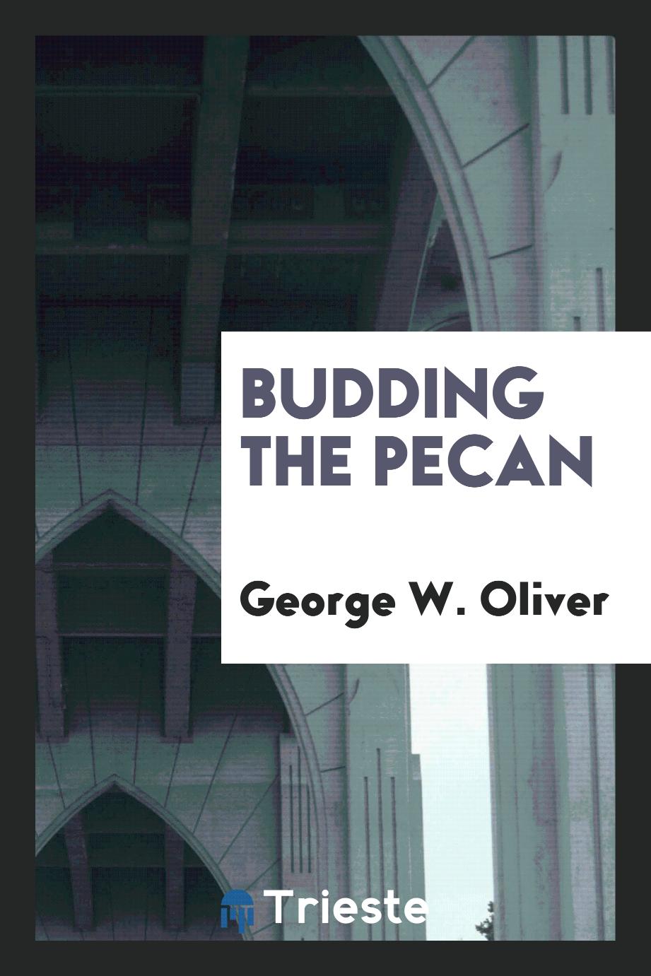 Budding the Pecan