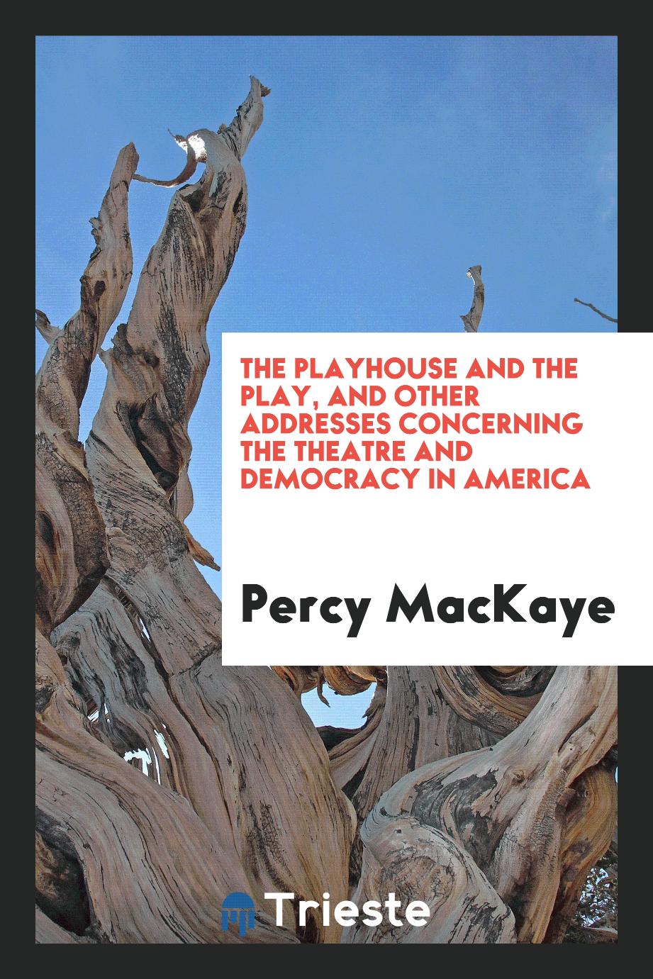 The playhouse and the play, and other addresses concerning the theatre and democracy in America