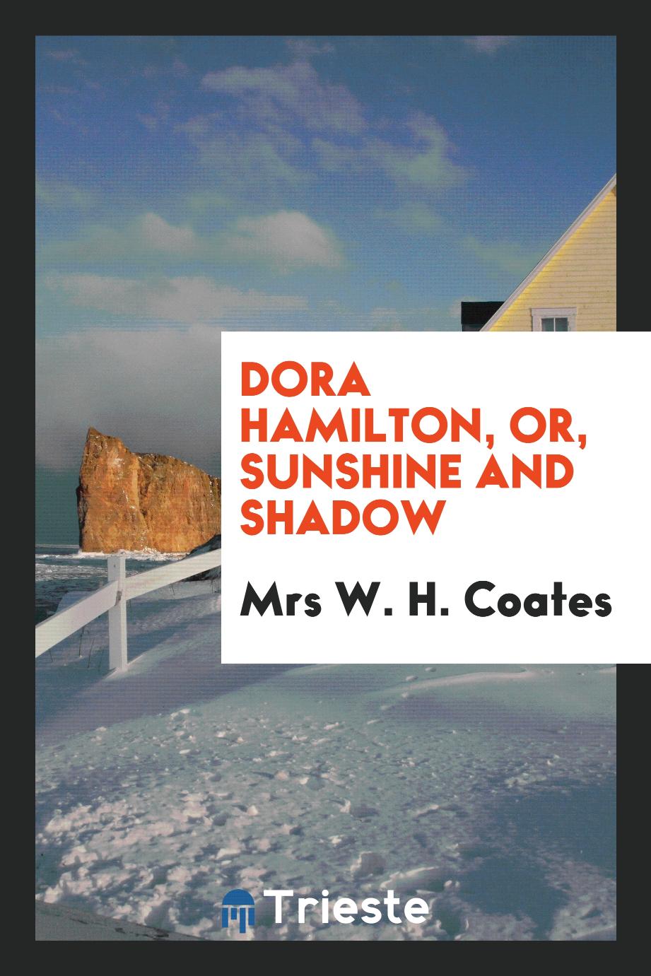 Dora Hamilton, or, Sunshine and shadow