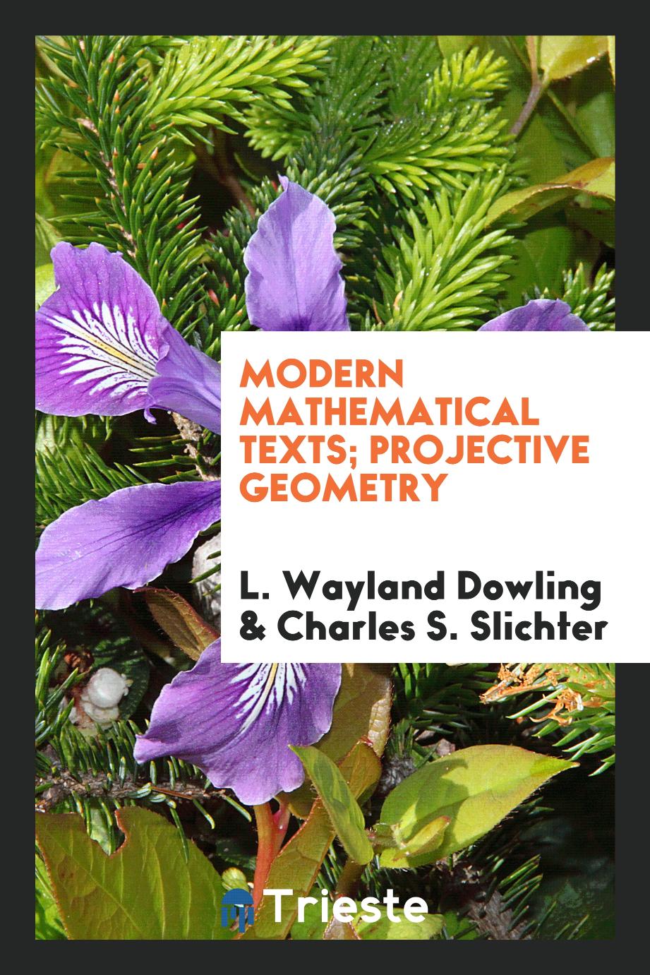 Modern Mathematical Texts; Projective Geometry