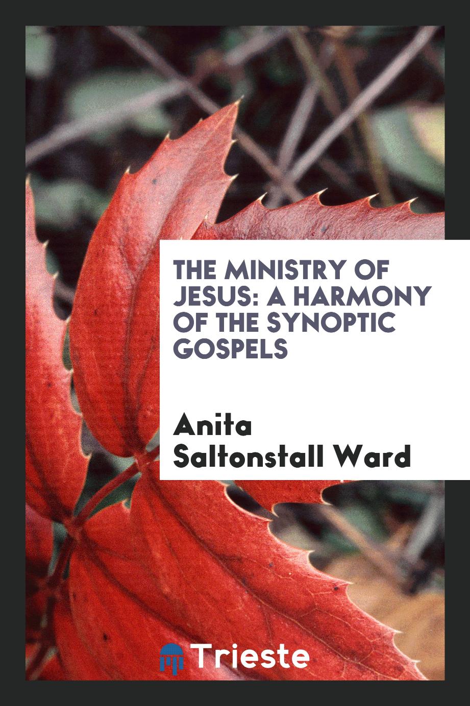 The Ministry of Jesus: A Harmony of the Synoptic Gospels