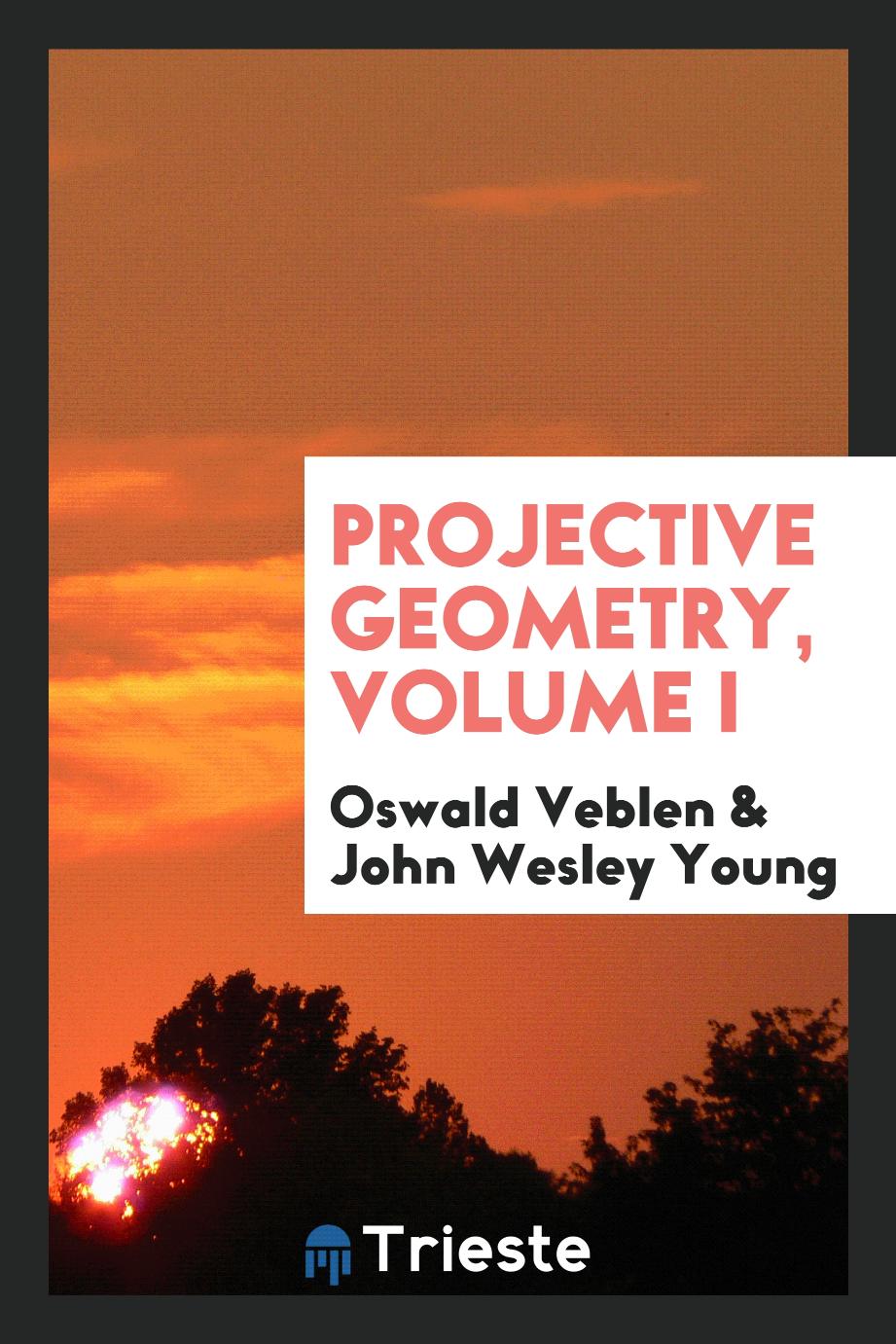 Projective Geometry, Volume I