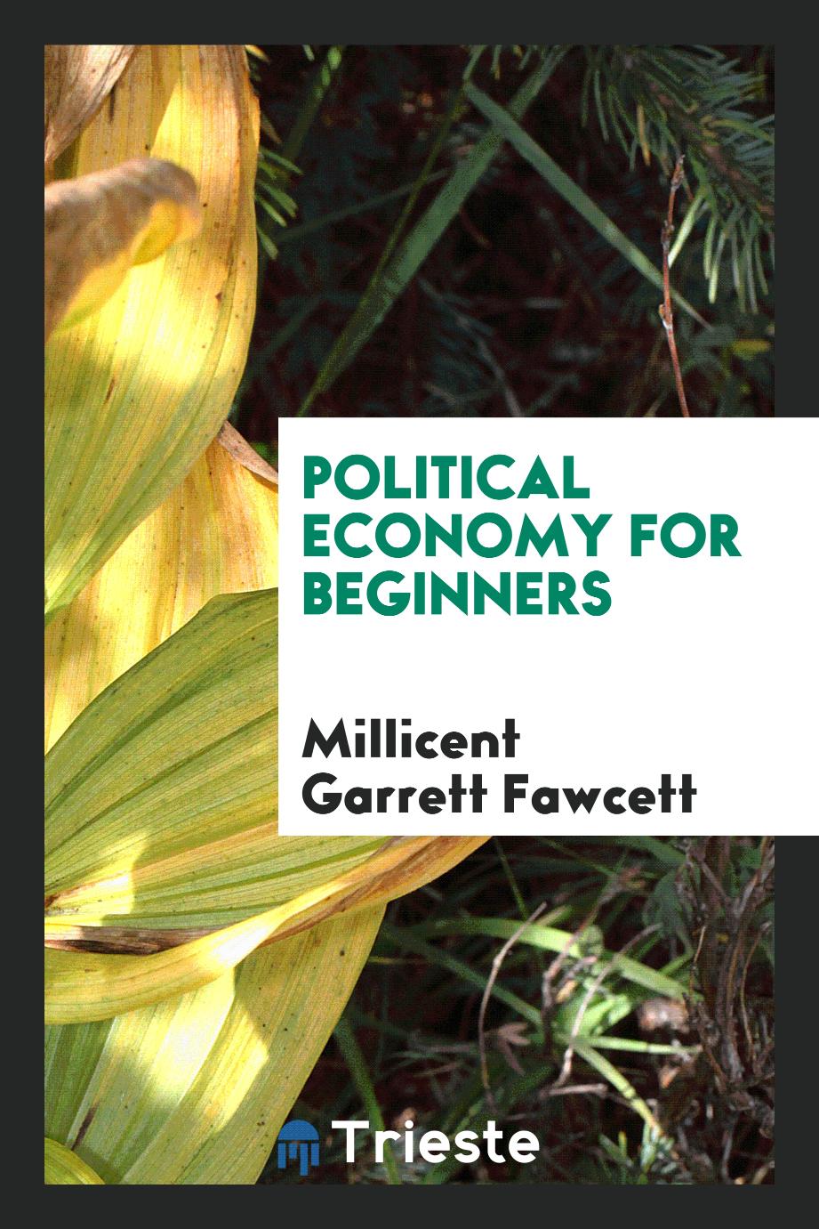 Political economy for beginners