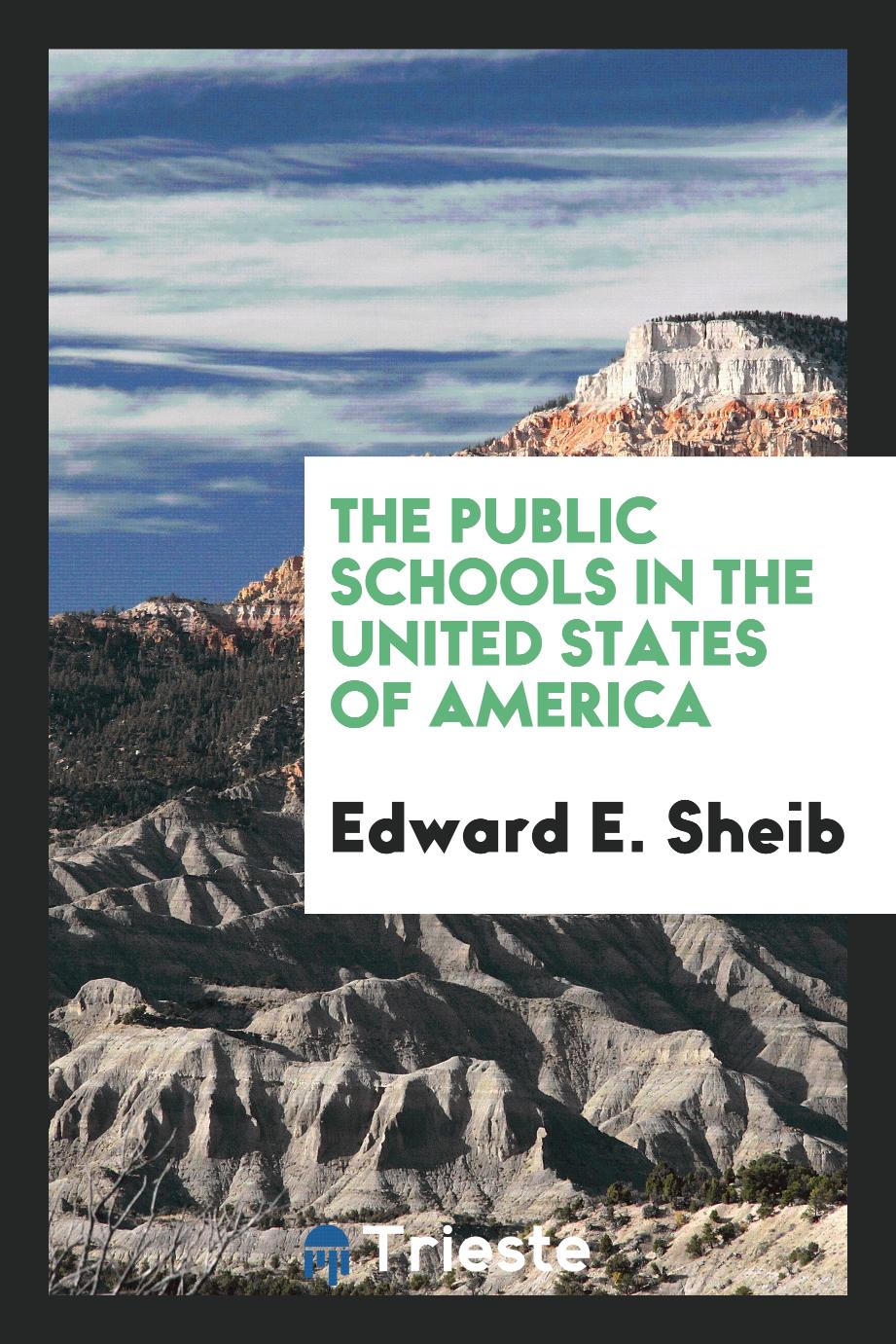 The Public Schools in the United States of America