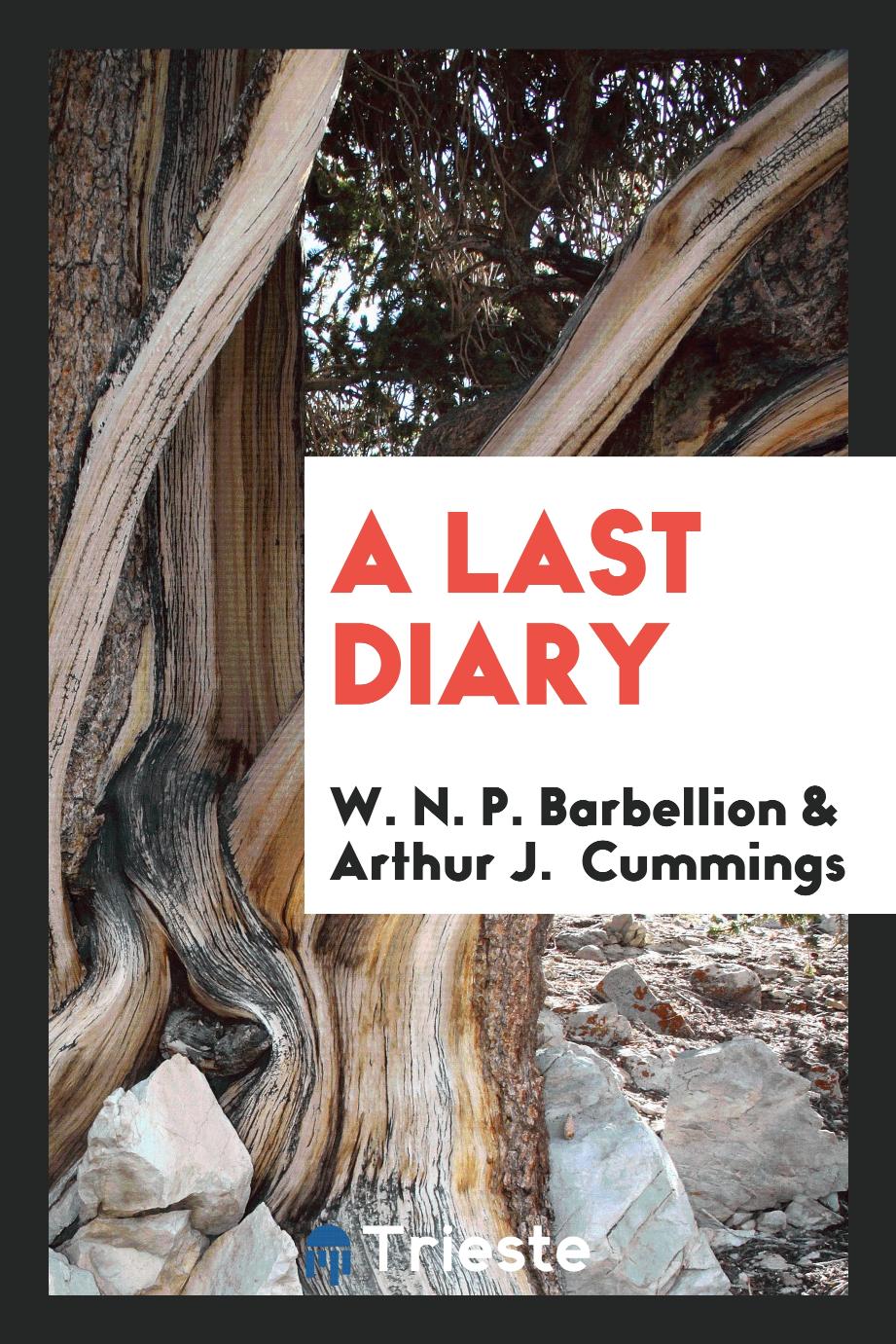A last diary