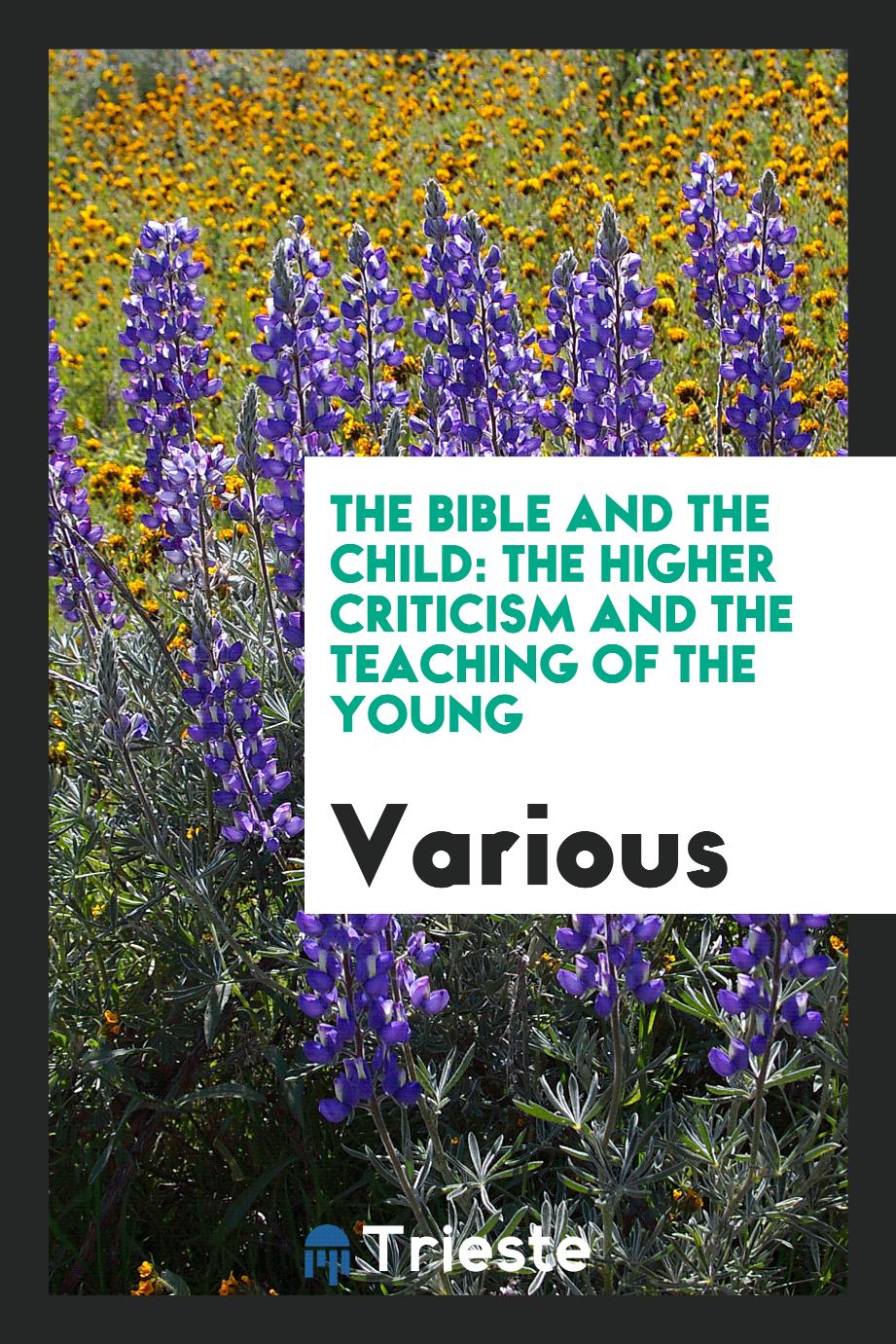 The Bible and the Child: The Higher Criticism and the Teaching of the Young