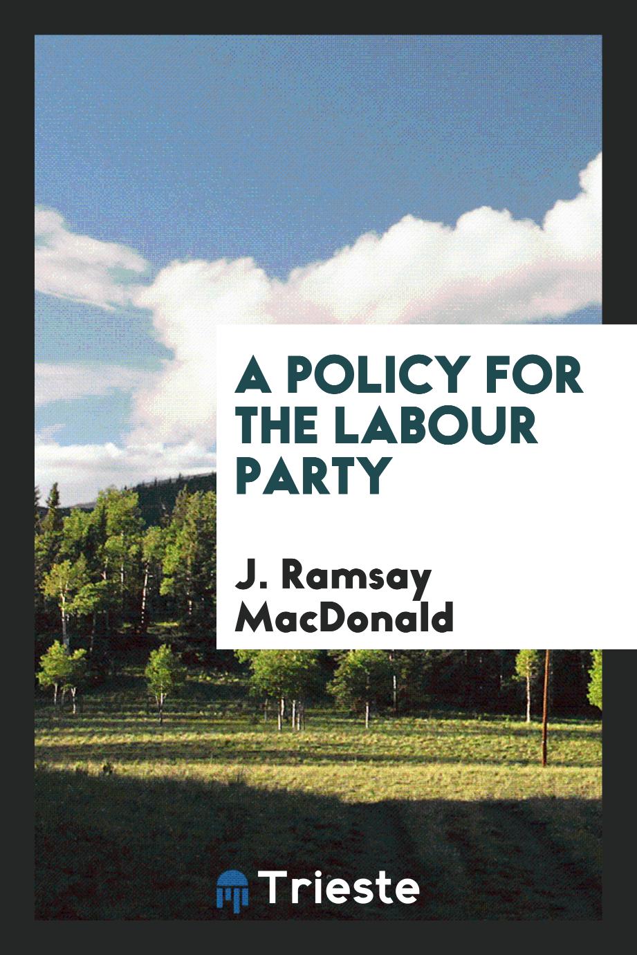 A policy for the labour party