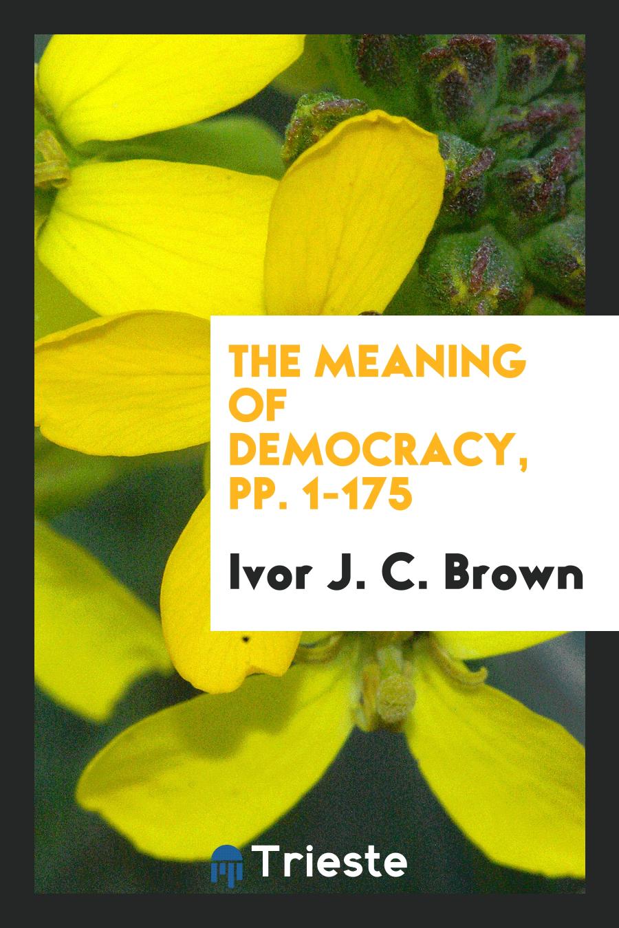 The Meaning of Democracy, pp. 1-175