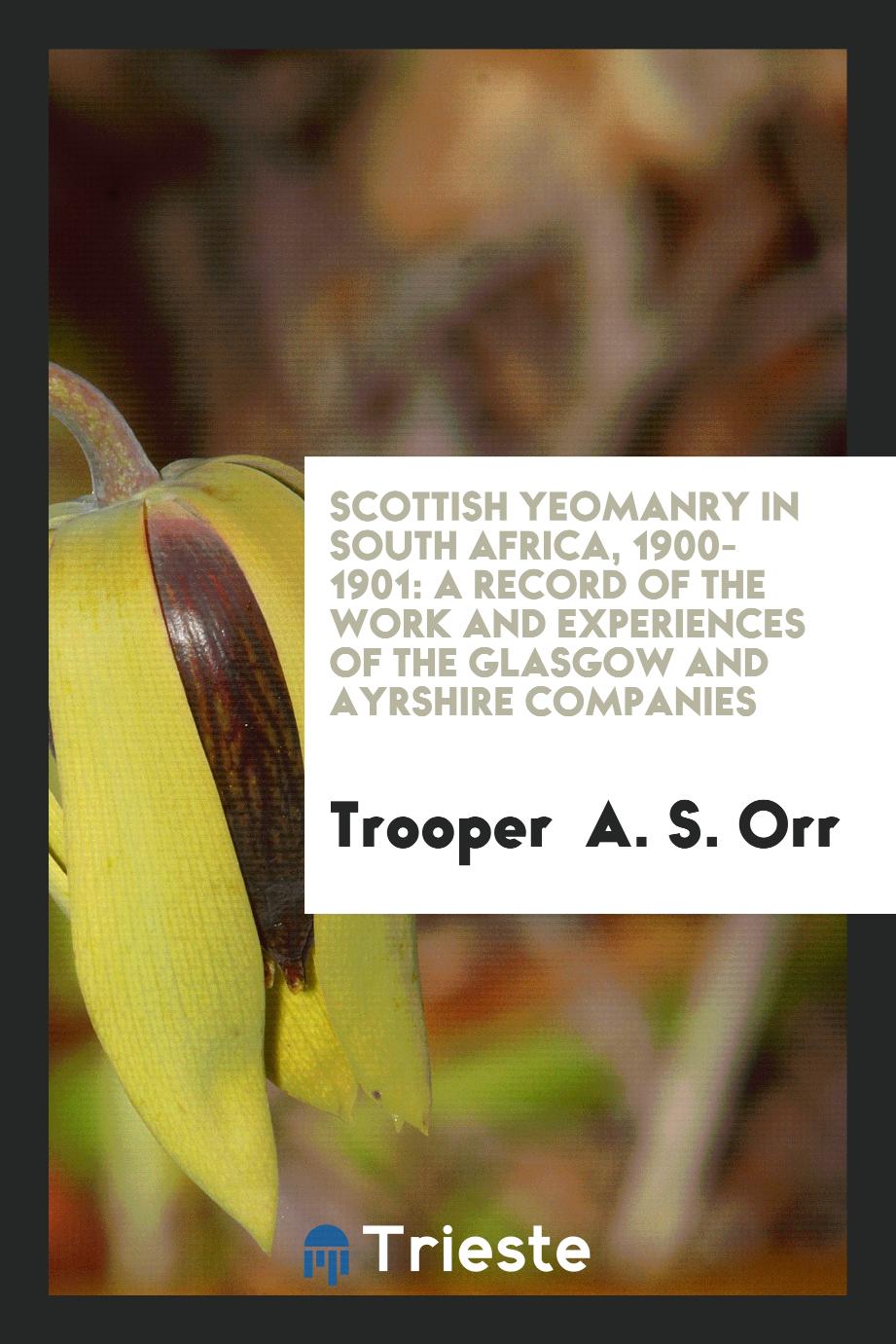 Scottish Yeomanry in South Africa, 1900-1901: A Record of the Work and Experiences of the Glasgow and Ayrshire Companies