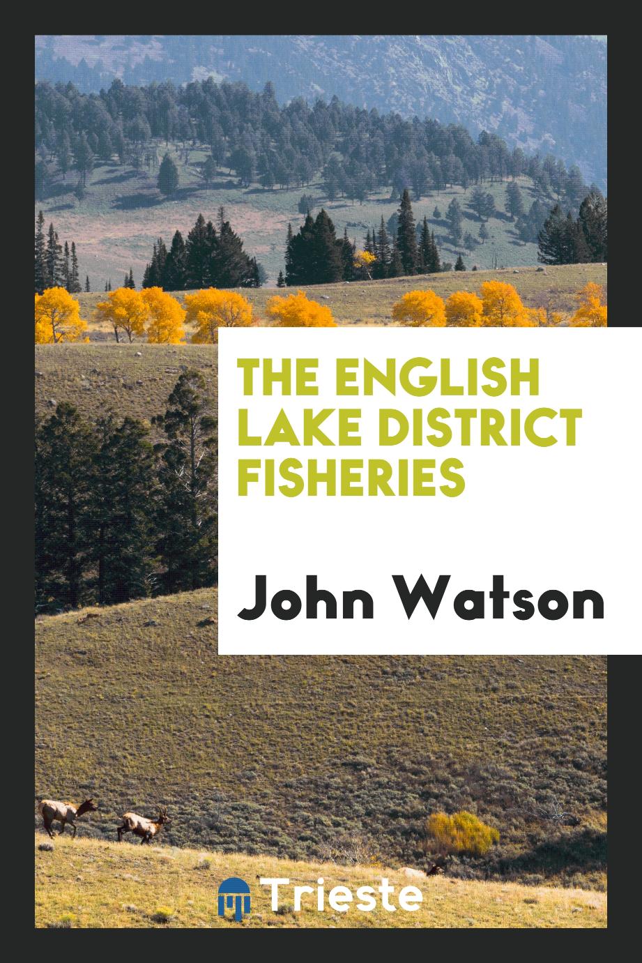 The English Lake district fisheries
