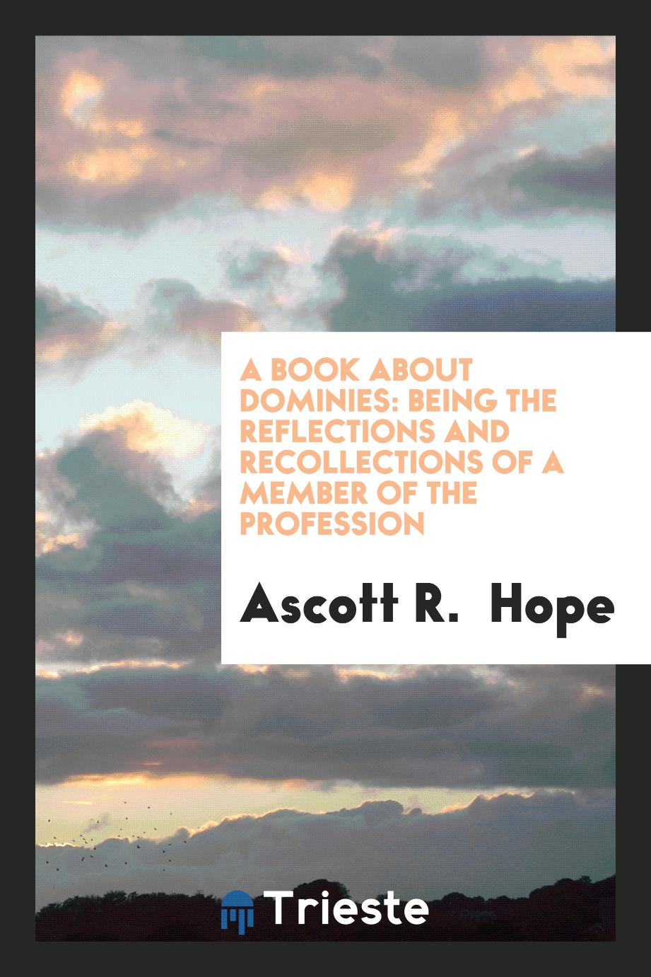 A book about dominies: being the reflections and recollections of a member of the profession