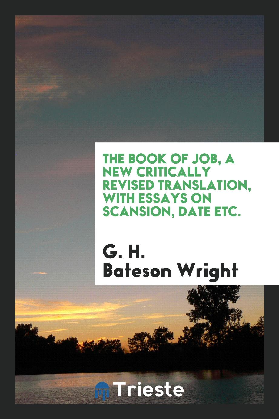 The Book of Job, a New Critically Revised Translation, with Essays on Scansion, Date Etc.
