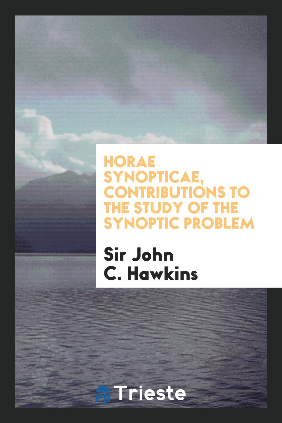 Horae Synopticae, contributions to the study of the synoptic problem