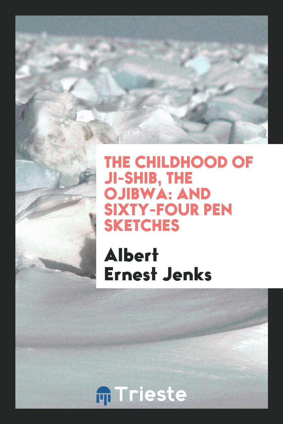 The Childhood of Ji-Shib, the Ojibwa: And Sixty-Four Pen Sketches