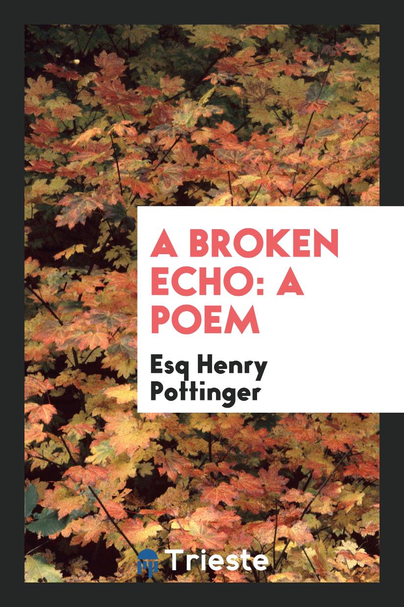 A Broken Echo: A Poem