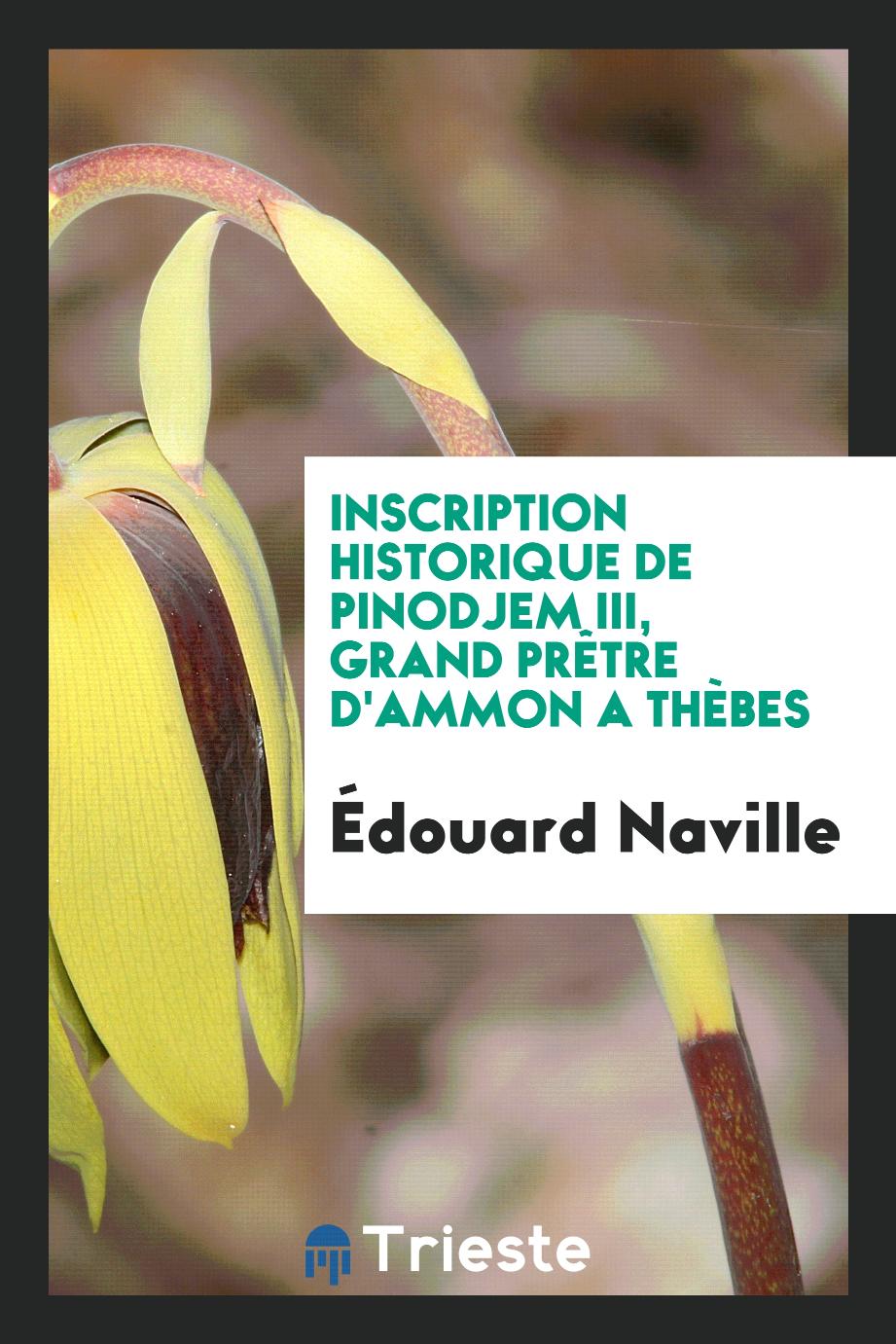 Edouard Naville - Inscription Historique de Pinodjem III, Grand Prêtre d'Ammon a Thèbes
