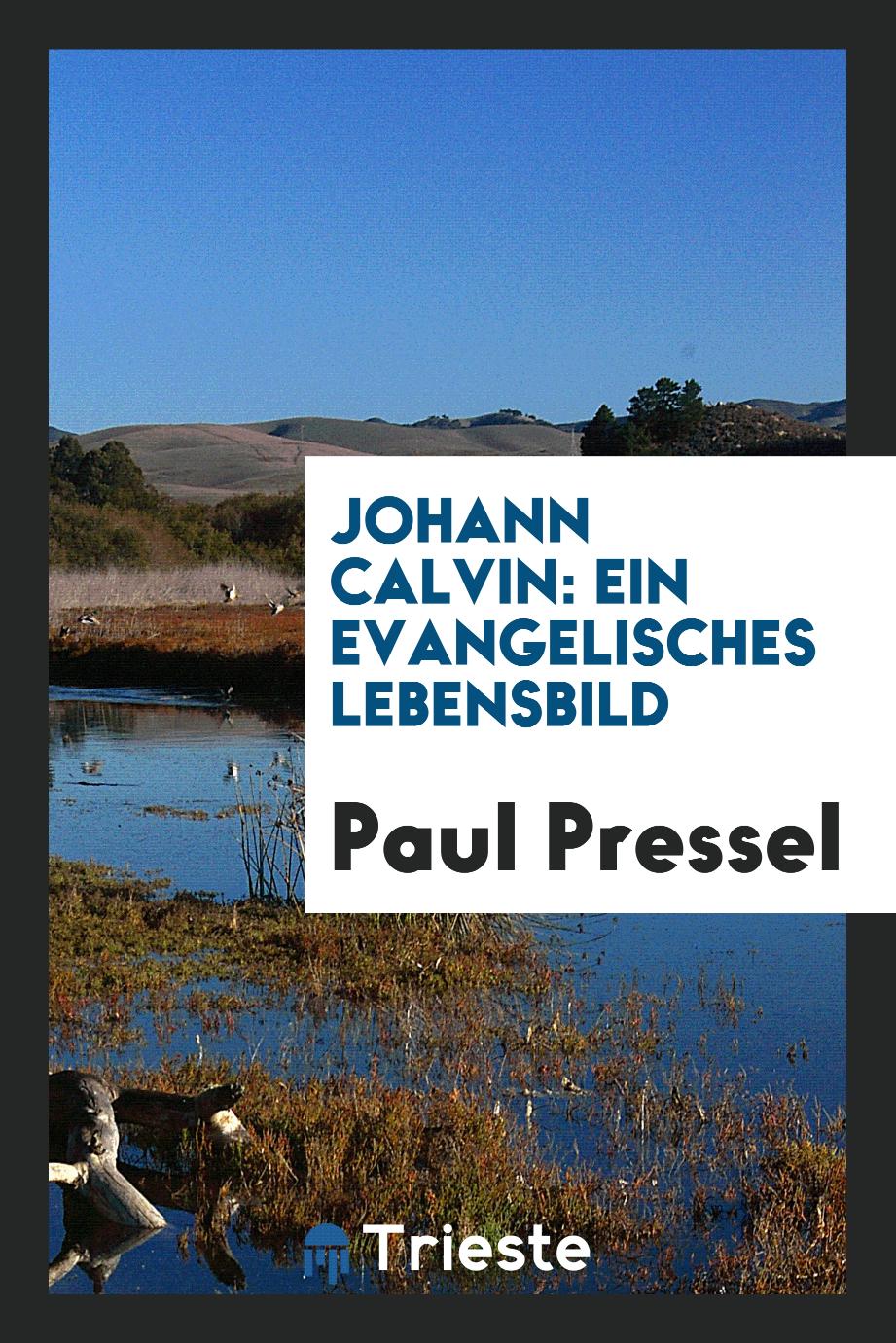 Johann Calvin: Ein Evangelisches Lebensbild