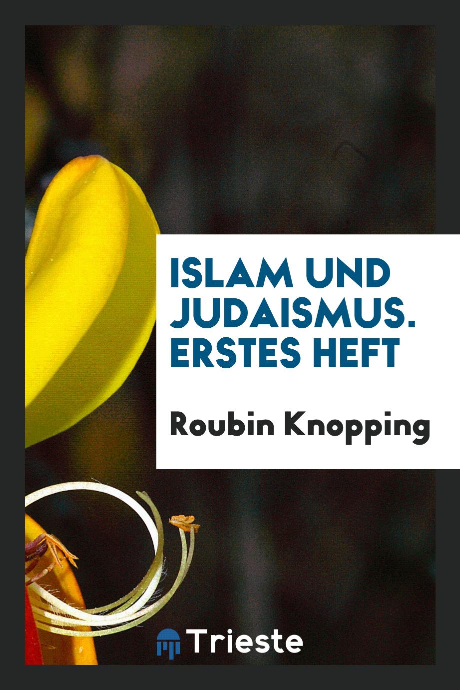 Roubin Knopping - Islam und Judaismus. Erstes Heft