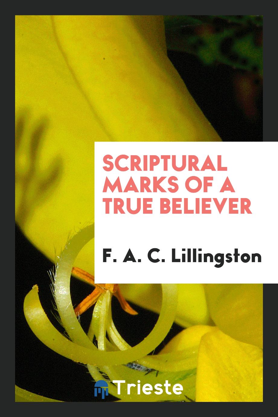 Scriptural Marks of a True Believer