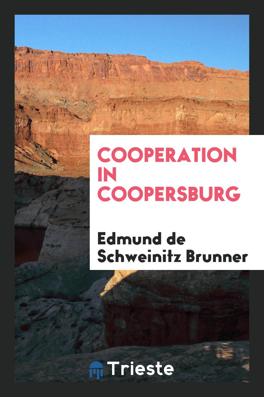 Cooperation in Coopersburg