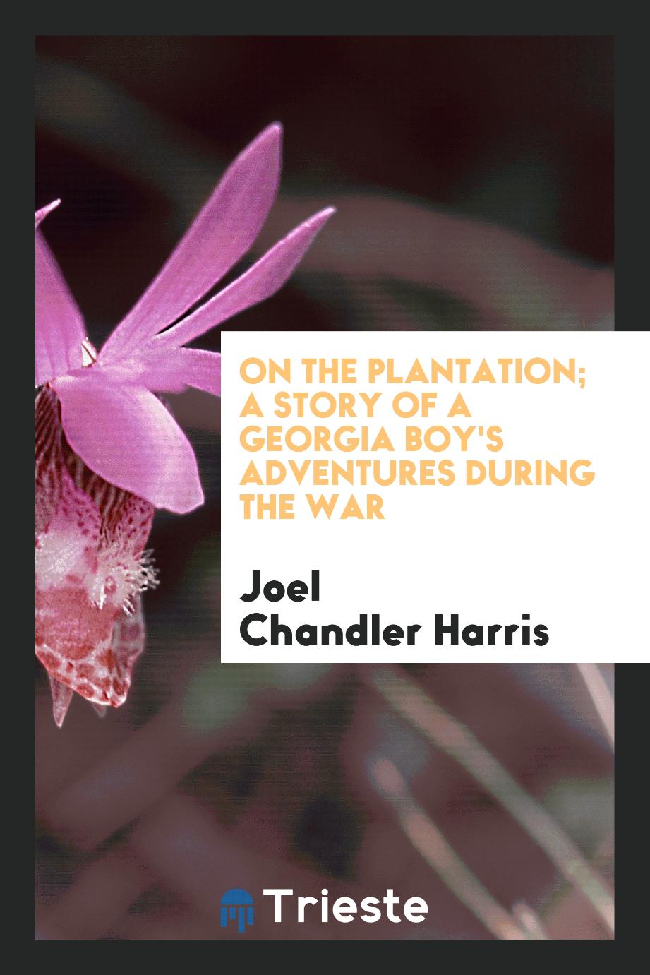 On the plantation; a story of a Georgia boy's adventures during the war