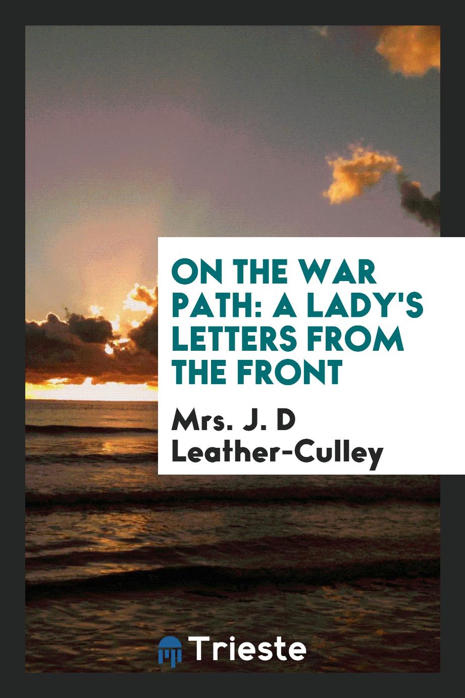 On the War Path: A Lady's Letters from the Front
