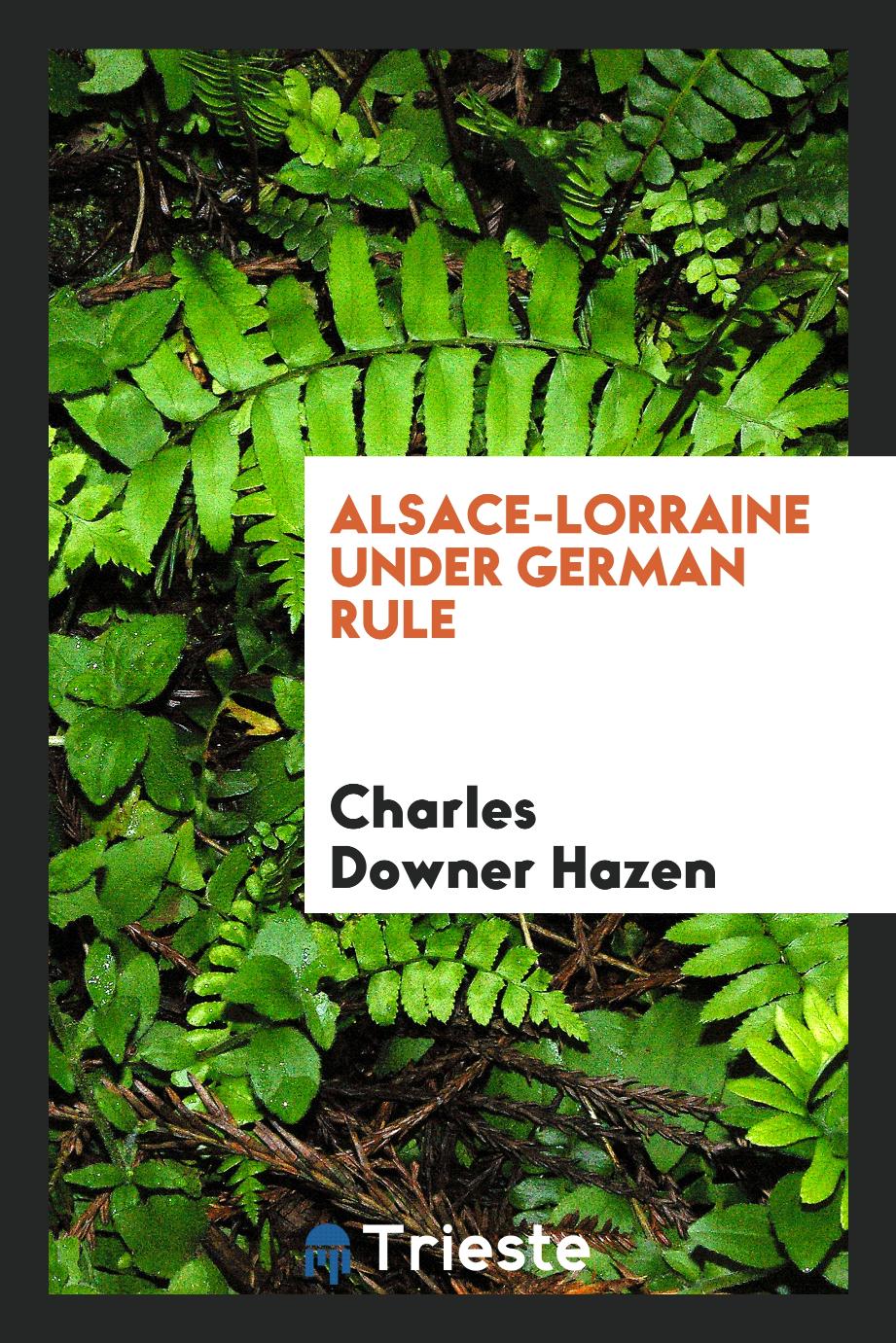 Alsace-Lorraine under German rule