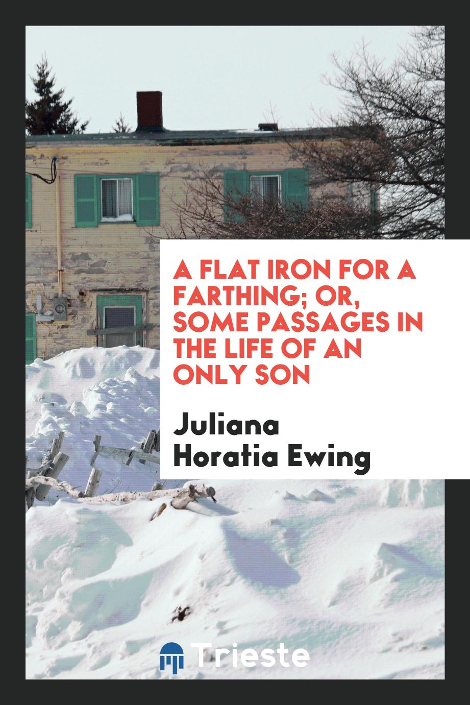 A flat iron for a farthing; or, Some passages in the life of an only son