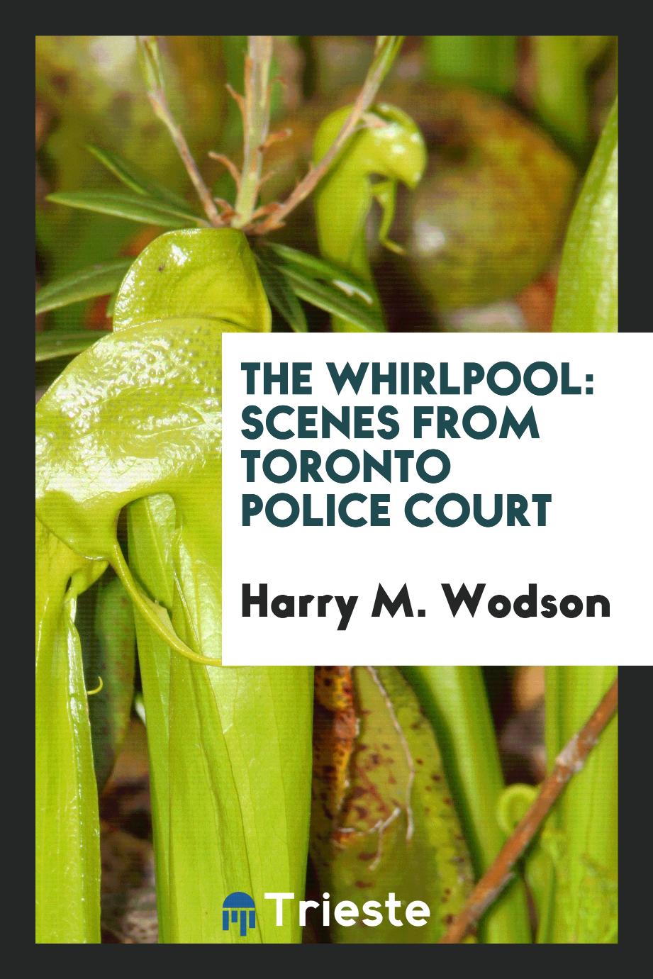 The whirlpool: scenes from Toronto police court