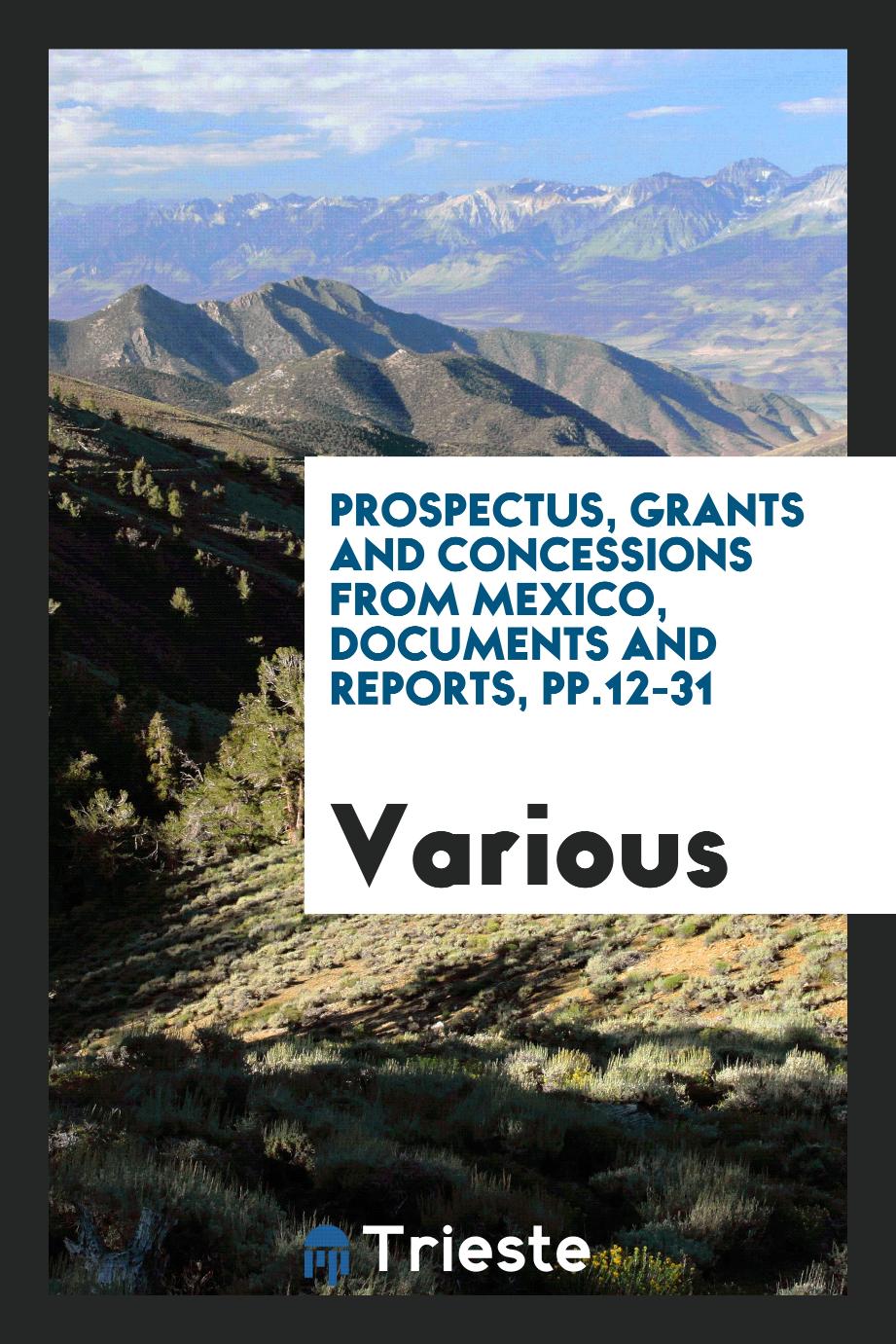 Prospectus, grants and concessions from Mexico, documents and reports, pp.12-31