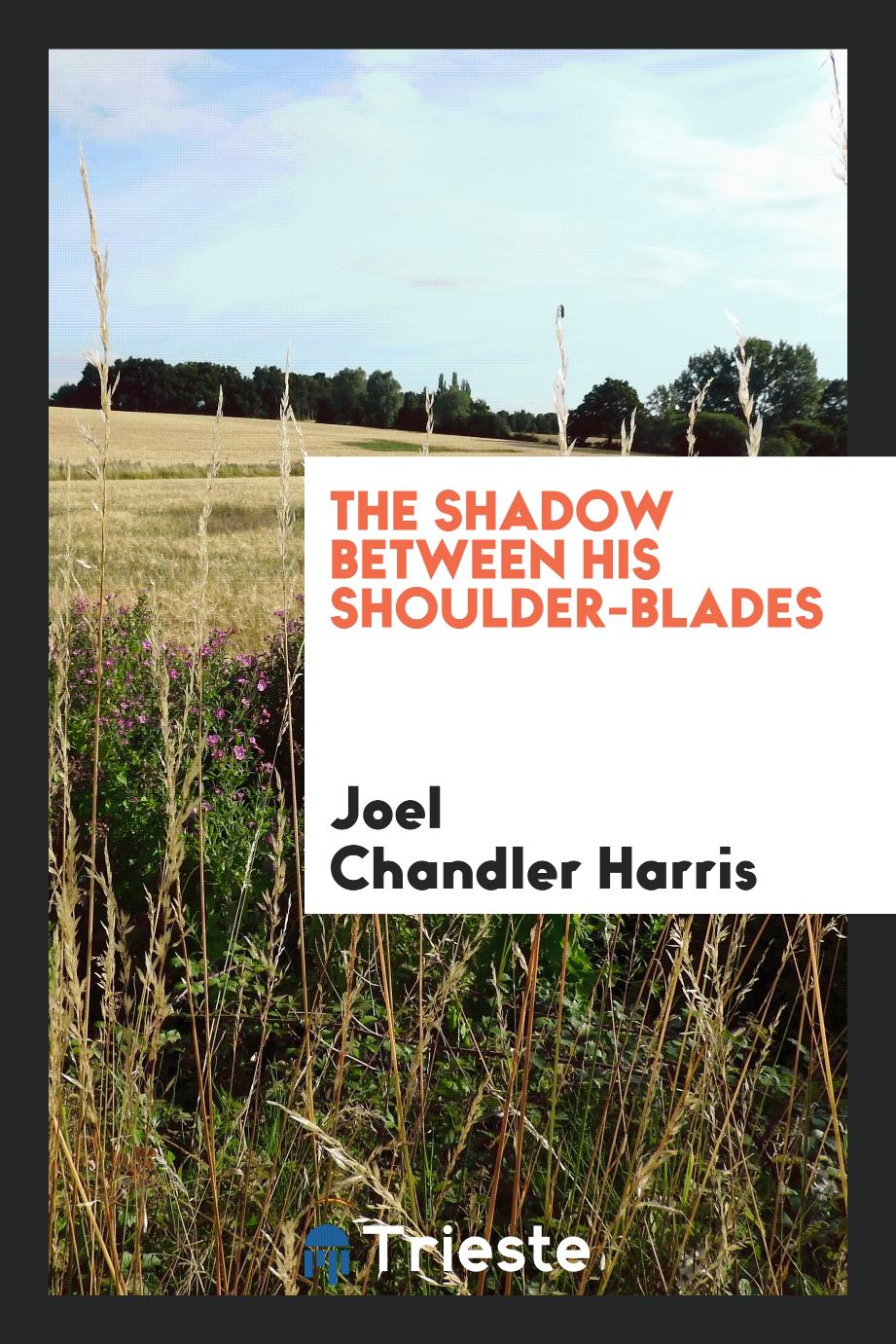 The shadow between his shoulder-blades