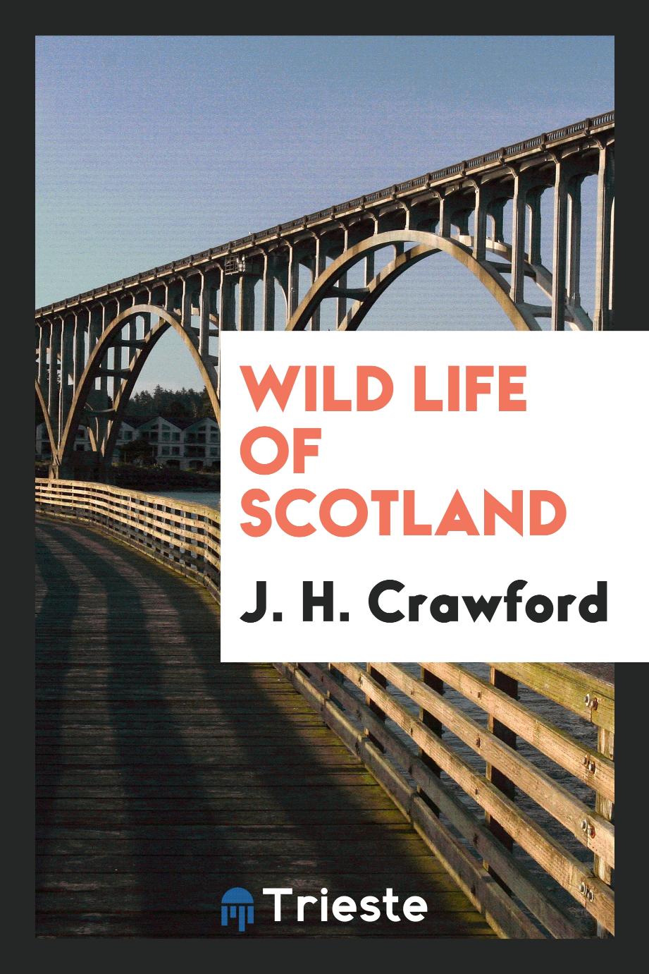 Wild life of Scotland