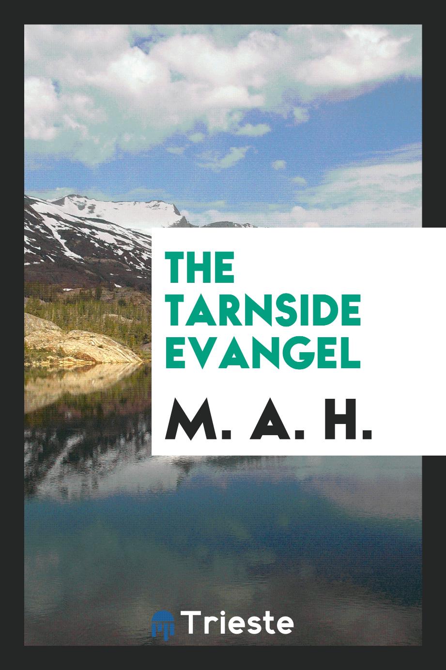 The Tarnside Evangel