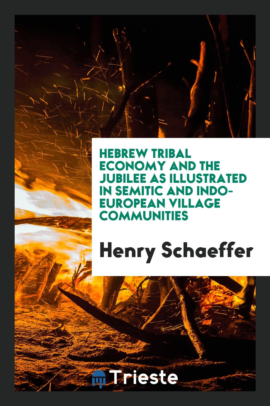 Hebrew tribal economy and the jubilee as illustrated in Semitic and Indo-European village communities