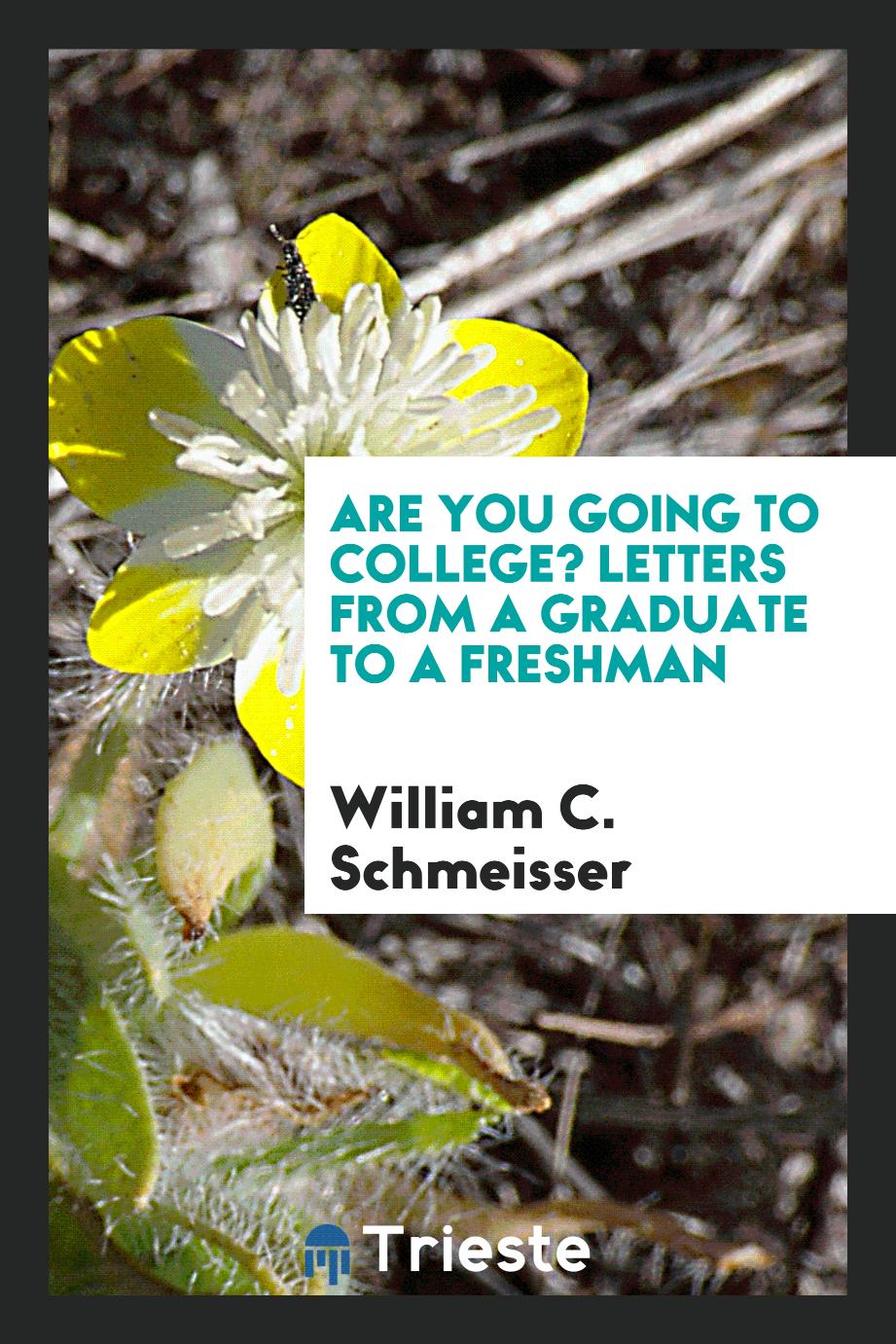 Are you going to college? Letters from a graduate to a freshman